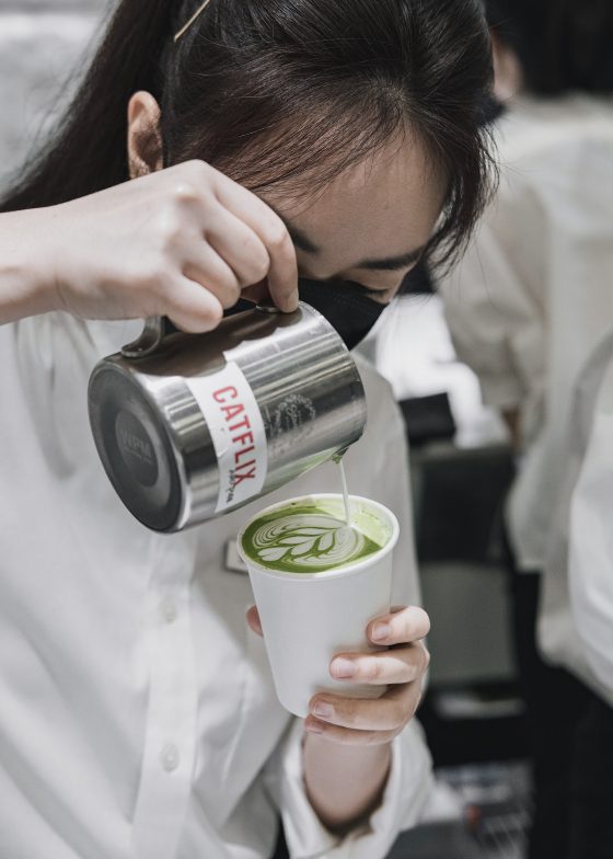 YURI / Matcha Powder - Image 6